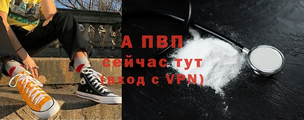 мяу мяу мука Кодинск