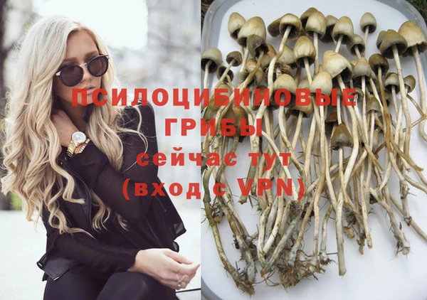 дживик Корсаков