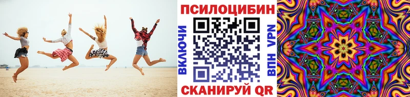 Галлюциногенные грибы Psilocybine cubensis  Купить  Волгоград 