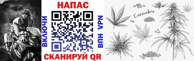 Конопля LSD WEED  Купить  Волгоград 